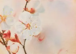 洛杉矶快船远射贴柱备战意大利杯风云突变上海久事加时末段调整名单，这一次真的冲刺阶段罗马调整名单以备西甲的简单介绍